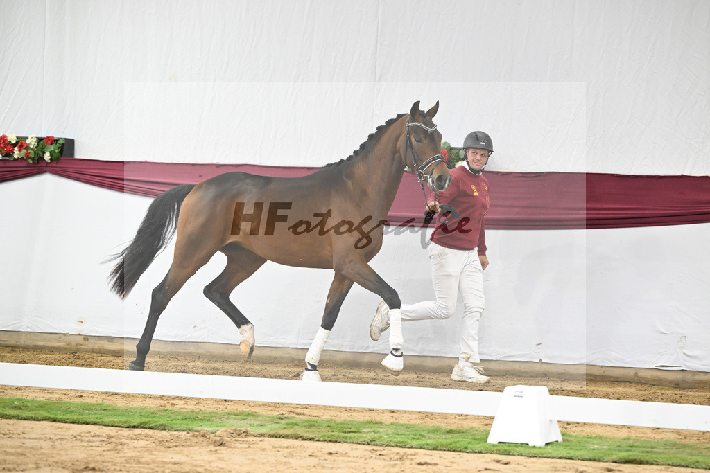 Kat-Nr. 26 Dynamic Dream x Le Mans_Kurt Fink_47250784 | hf-fotografie - Realisiert mit Pictrs.com