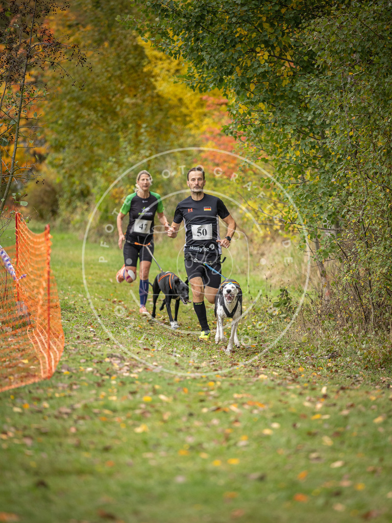 Pfotenfotografie_DV3A2439 | Hundefotografie, Tierfotograf, Pfotenfotografie, Fotoshooting Hund, Hunde Portrait, Hundesport, Hundeportraits, Heideshooting, Hunde, Sportfotograf, Hundefotograf, Turnierhundsport, THS,  - Realisiert mit Pictrs.com