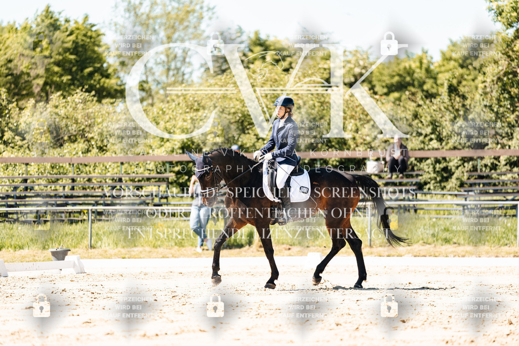 CK905326 | Turnierfotografie Pferdefotografie Trier Rheinland-Pfalz Pferdesport Reitsport Tierfotografie Sportfotografie Pferdevideo Pferdevideografie Equestrianvideography equestrianphotography  - Realisiert mit Pictrs.com