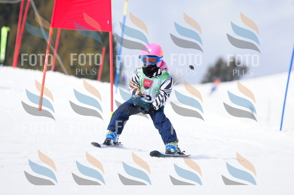 A3720 | holidayphoto