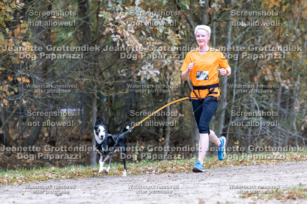 Dog Paparazzi - SD CaniX Championship 2025-509 | Dog Paparazzi Jeanette Grottendiek Fotografie & Videografie - Realisiert mit Pictrs.com