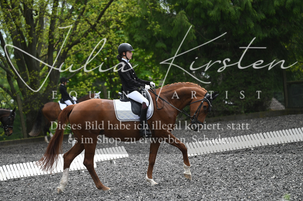 20230512_JK-Röhrsdorf-07-234 | Pferde- und Turnierfotografie in Westsachsen. Pferdeportraits, Auftragszeichnungen und intuitive Kunst.