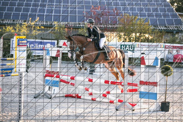 _W6A1041 | ronjaprokoschfotografie - Realisiert mit Pictrs.com
