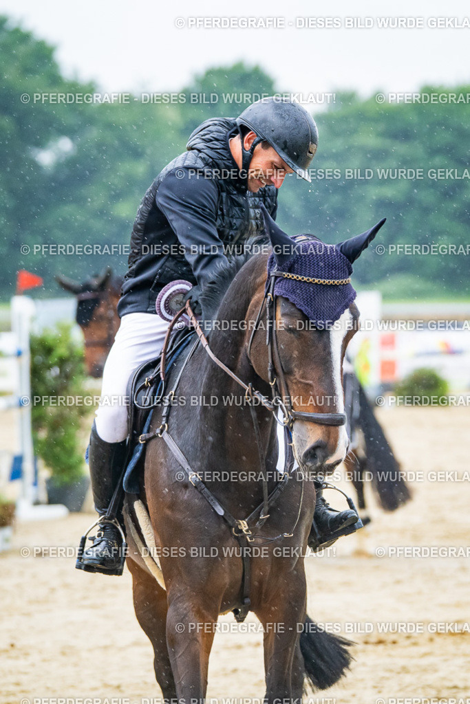 DSC00834 | Pferdegrafie