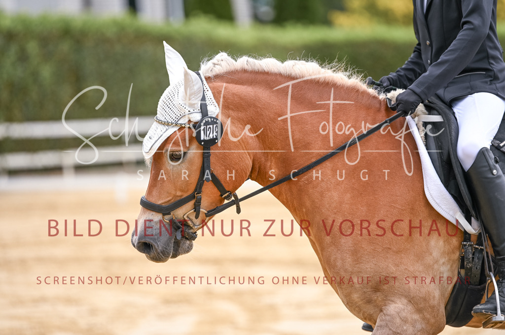 Schugtsche-Aluta25-42.EDressur -53 | Schugtsche Fotografie - Realisiert mit Pictrs.com