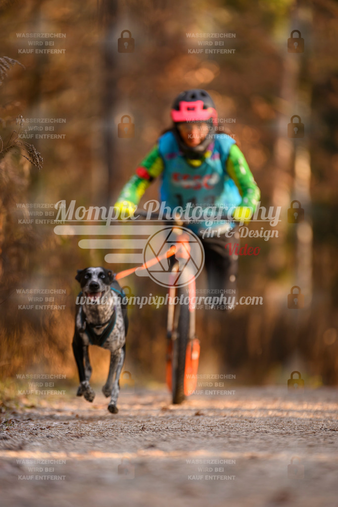 MompixPhotography_DM_AKDM_SO_2025_Scooter-205 | PayLife