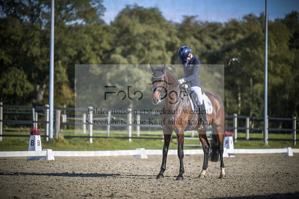 DOS_B835 | Entdecke hochwertige Reitturnierfotos von Foto Oger. Professionell, emotional und authentisch – jetzt Lieblingsmomente im Shop bestellen.Deutschlandweite Turnierfotografie. - Realisiert mit Pictrs.com