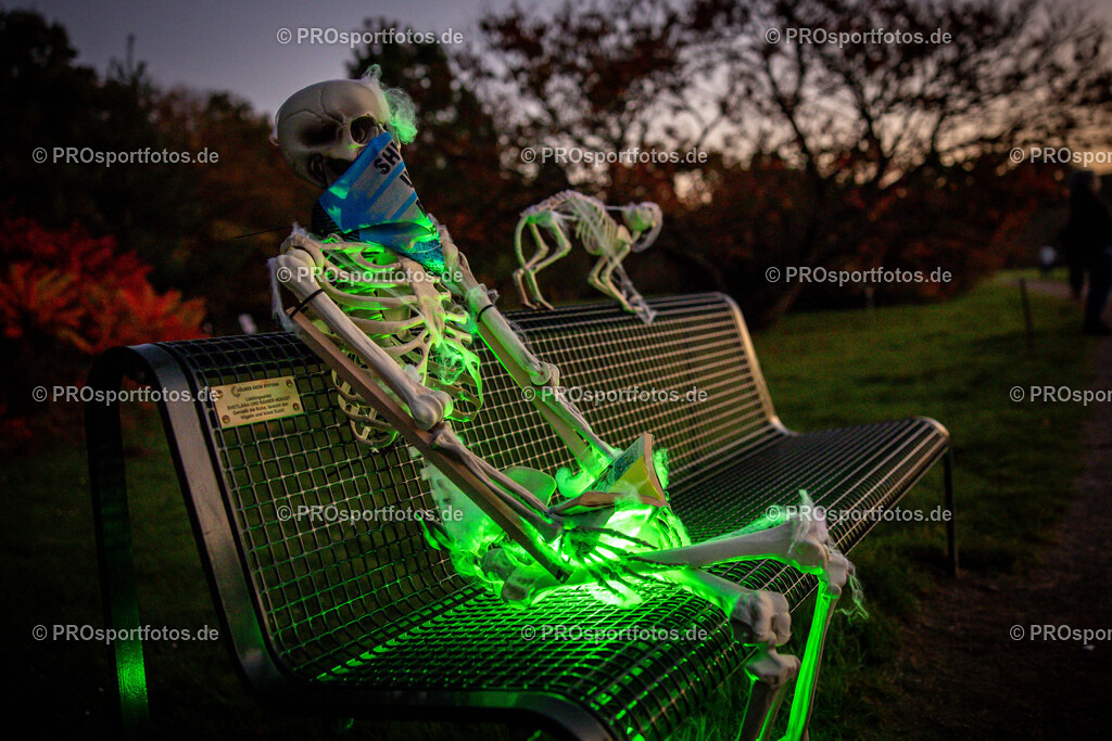 Halloween Run 2024 in Koeln, 31.10.2024 | Impressionen vom Halloween Run 2024 am 31.10.2024 in Koeln (Forstbotanischer Garten Rodenkirchen). Foto: BEAUTIFUL SPORTS/Axel Kohring