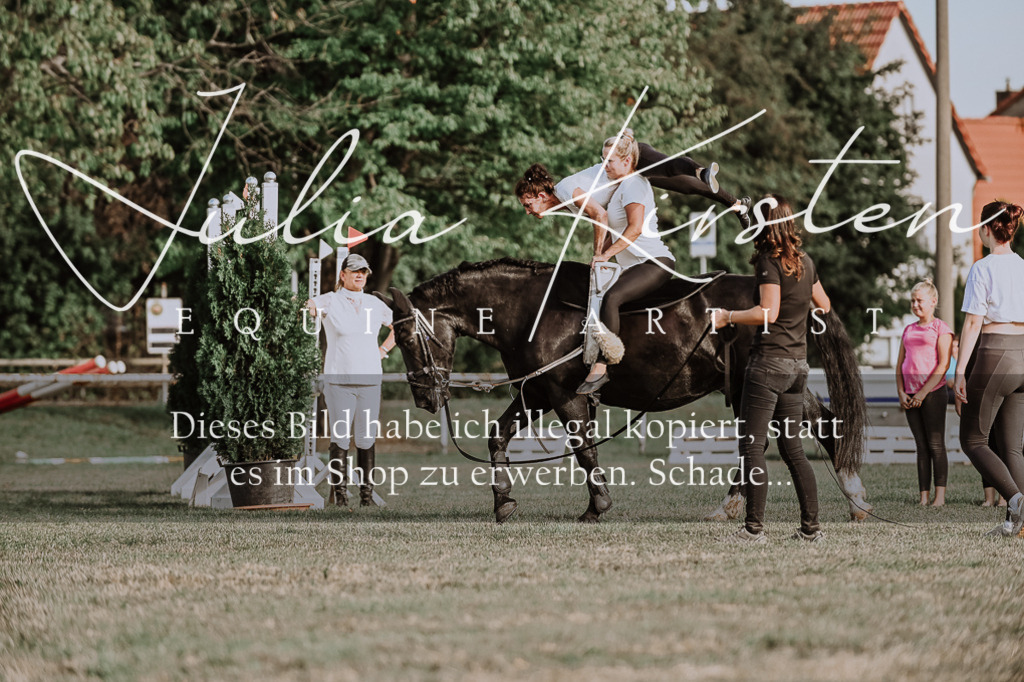 DSC_0039 | Pferde- und Turnierfotografie in Westsachsen. Pferdeportraits, Auftragszeichnungen und intuitive Kunst.
