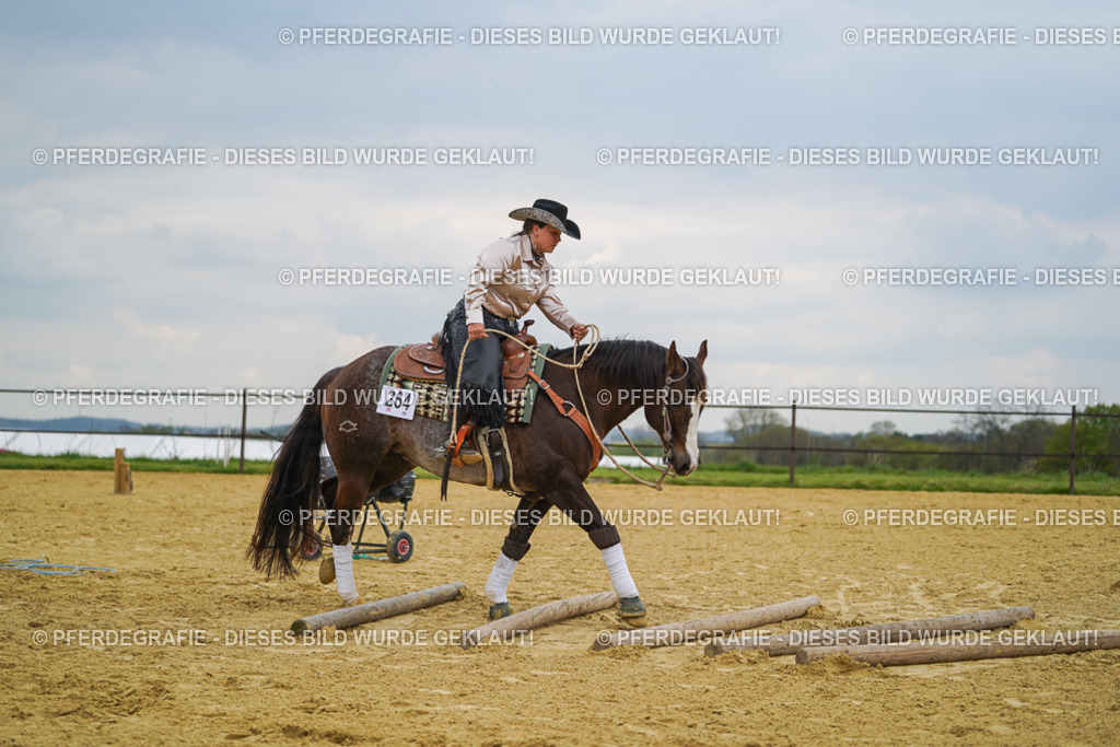 DSC07448 | Pferdegrafie