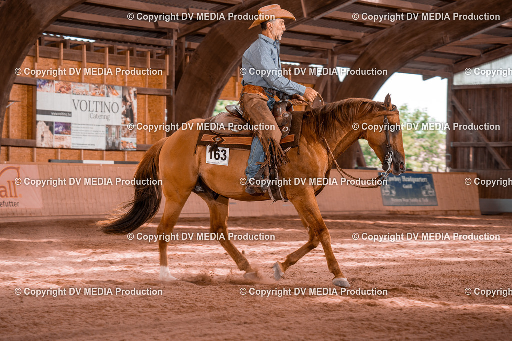 NE100713 | dv-media-shop - Realisiert mit Pictrs.com