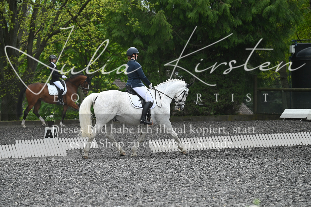 20230512_JK-Röhrsdorf-07-210 | Pferde- und Turnierfotografie in Westsachsen. Pferdeportraits, Auftragszeichnungen und intuitive Kunst.