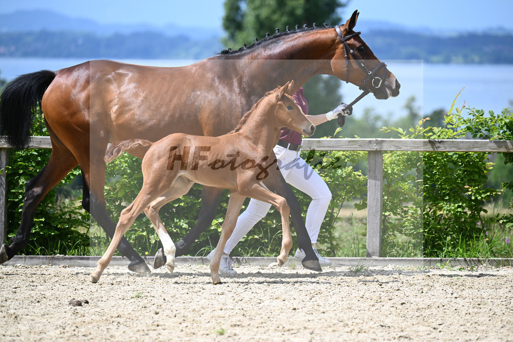 Va Bene x Bordeaux_SF_Lehmann_19240394 | hf-fotografie - Realisiert mit Pictrs.com