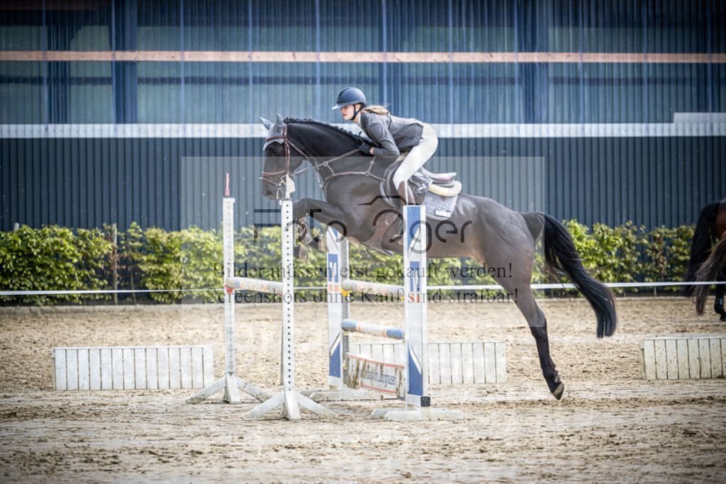 DOS_1547 | Reitturnier Lüdinghausen - Realisiert mit Pictrs.com