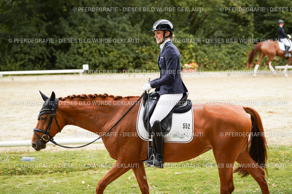 DSC00237 | Pferdegrafie