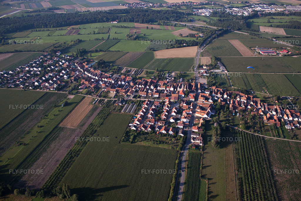 Luftbild: Ortsansicht von Norden in Erlenbach bei Kandel im Bundesland Rheinland-Pfalz in Deutschland. Foto: IMG_70267.jpg vom 19.07.2014 durch Werner Riehm/FLY-FOTO.de