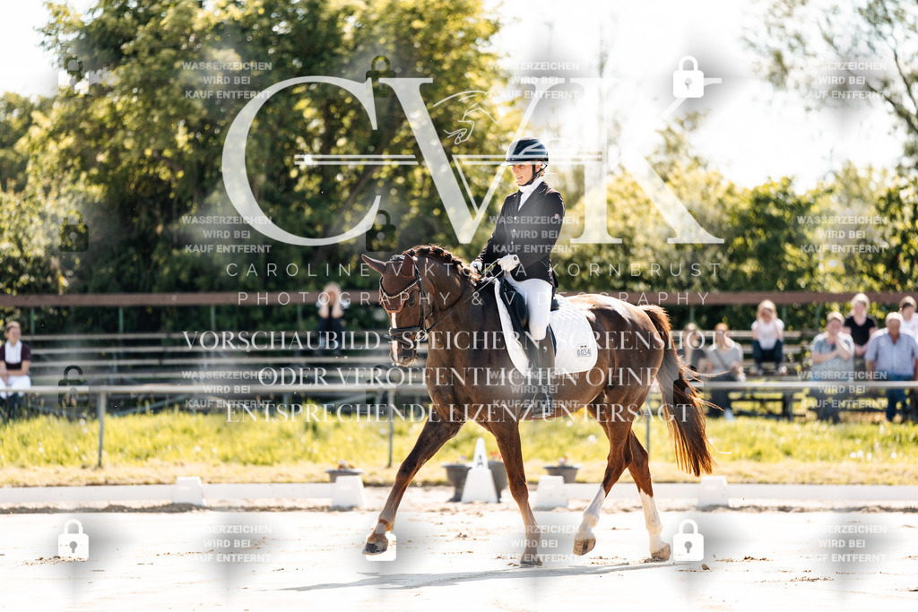 CK909057 | Turnierfotografie Pferdefotografie Trier Rheinland-Pfalz Pferdesport Reitsport Tierfotografie Sportfotografie Pferdevideo Pferdevideografie Equestrianvideography equestrianphotography  - Realisiert mit Pictrs.com