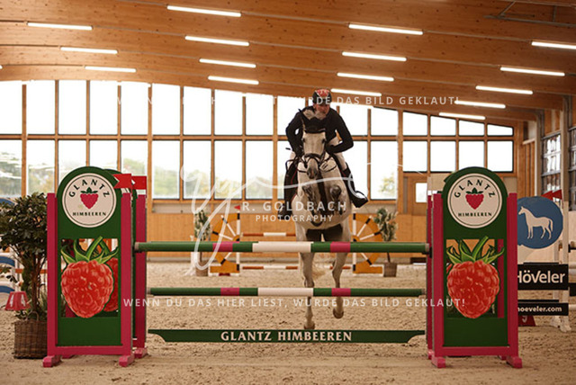 1J2A9871paul wiktor_ kn049_ hohen wieschendorf_ glantz | Foto- und Videografie für alles rund ums Pferd. Hochwertige Bilder und Videos vom Spring- und Dressurreiten, Voltigieren & mehr. Jetzt aktuelle Veranstaltungen und Preise im Shop ansehen. - Realisiert mit Pictrs.com