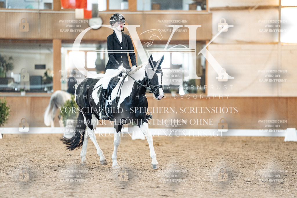 CK907604 | Turnierfotografie Pferdefotografie Trier Rheinland-Pfalz Pferdesport Reitsport Tierfotografie Sportfotografie Pferdevideo Pferdevideografie Equestrianvideography equestrianphotography  - Realisiert mit Pictrs.com