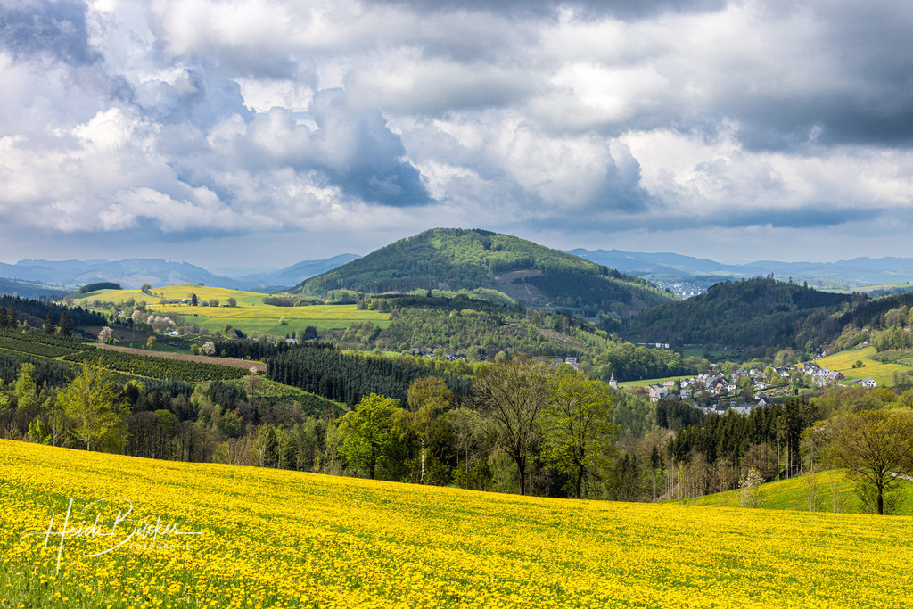 Westfeld und Umgebung 061 | Bilder und Impressionen zu jeder Jahreszeit aus dem Sauerland im Naturpark Sauerland-Rothaargebirge - Realisiert mit Pictrs.com