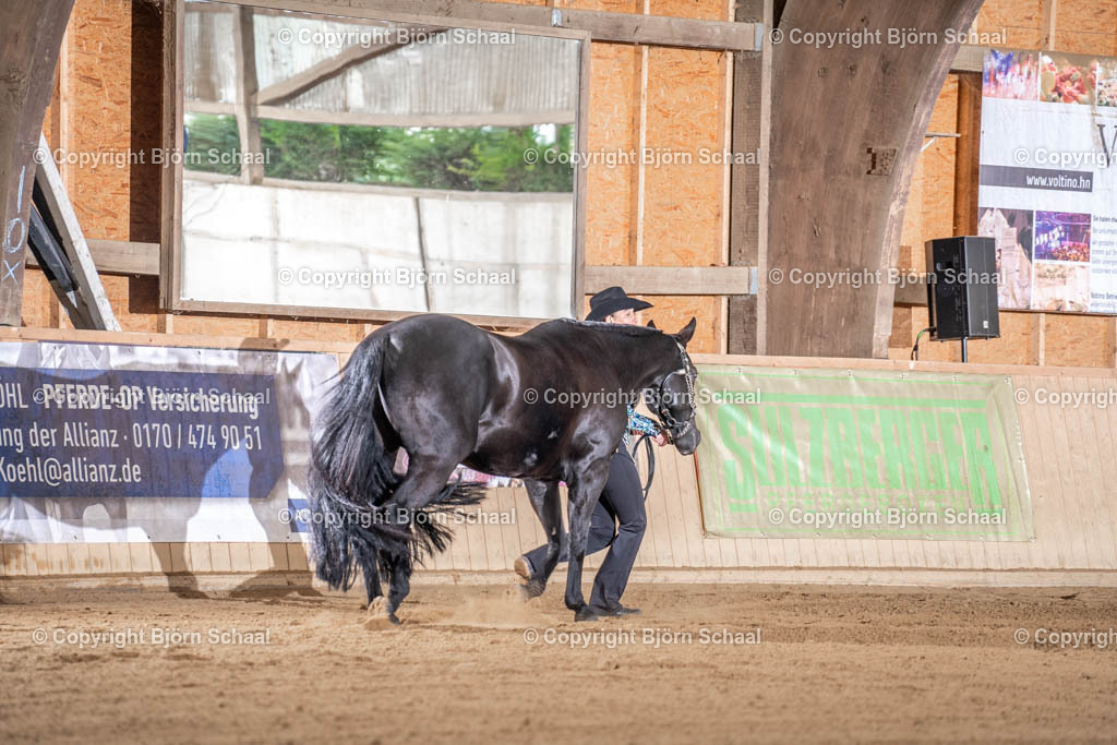 LMB08181 | BS-foto