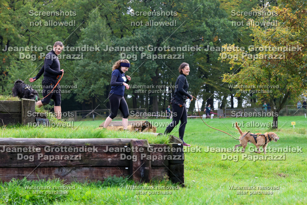 Dog Paparazzi -  SD1026-1939 | Dog Paparazzi Jeanette Grottendiek Fotografie & Videografie - Realisiert mit Pictrs.com