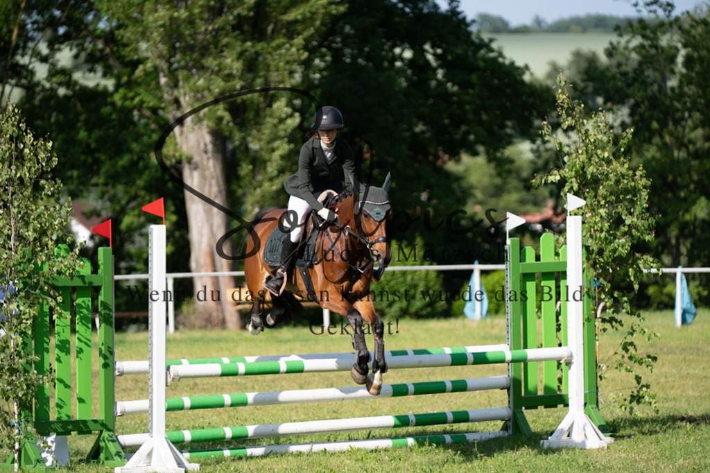 A7V05250 | Pferdefotograf