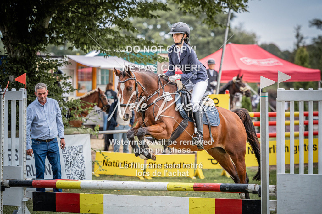 nelerasche_StilSpr60Ede_85 | nelerasche