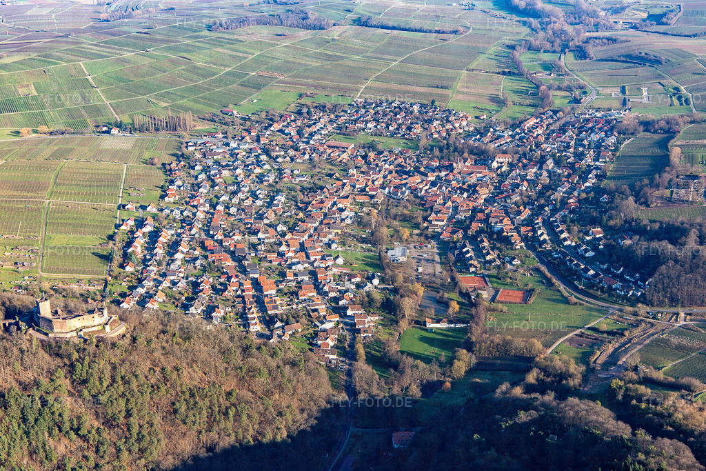 Weinort am Haardtrand unter der Landeck-Burgruine von Westen | Luftbild: Weinort am Haardtrand unter der Landeck-Burgruine von Westen in Klingenmünster im Bundesland Rheinland-Pfalz in Deutschland. Foto: IMG_145036.jpg vom 27.12.2024 durch ©2025 Werner Riehm fly-foto.de/copyright - Realisiert mit Pictrs.com