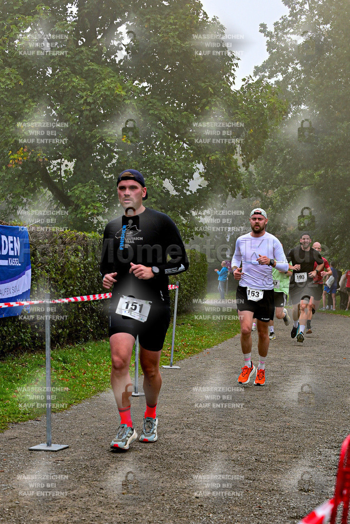 Z8N_1898 | la-psv - Realisiert mit Pictrs.com