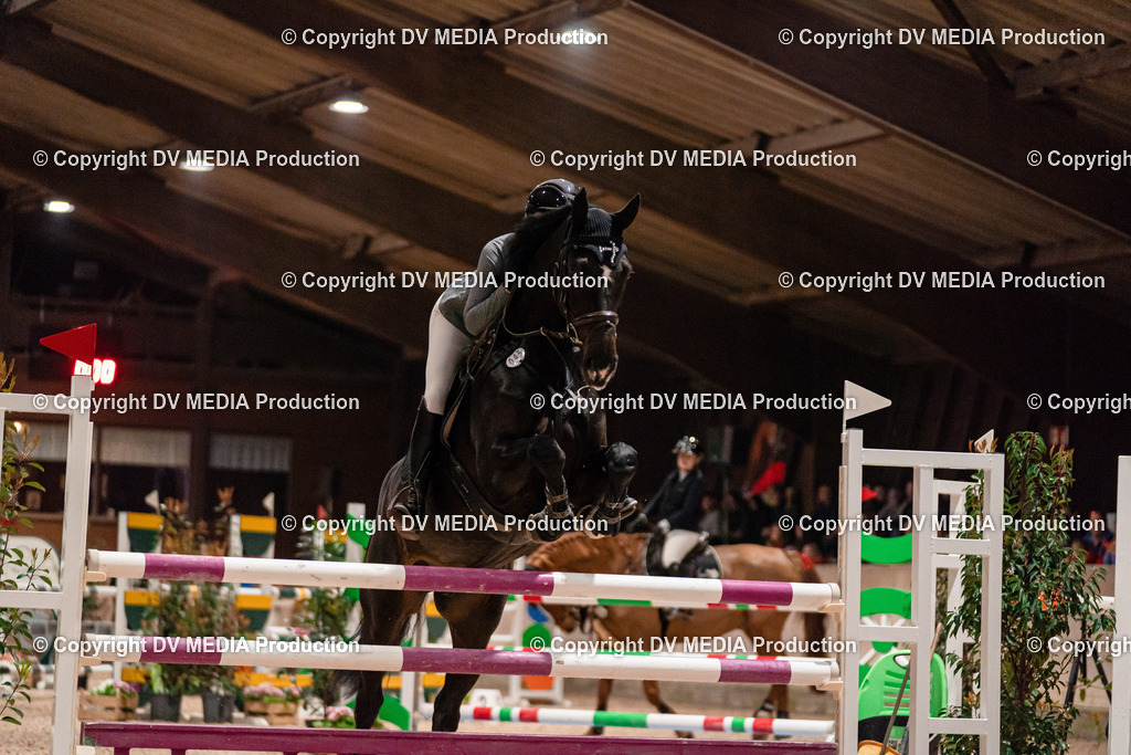 Springen Tag 2-819 | dv-media-shop - Realisiert mit Pictrs.com