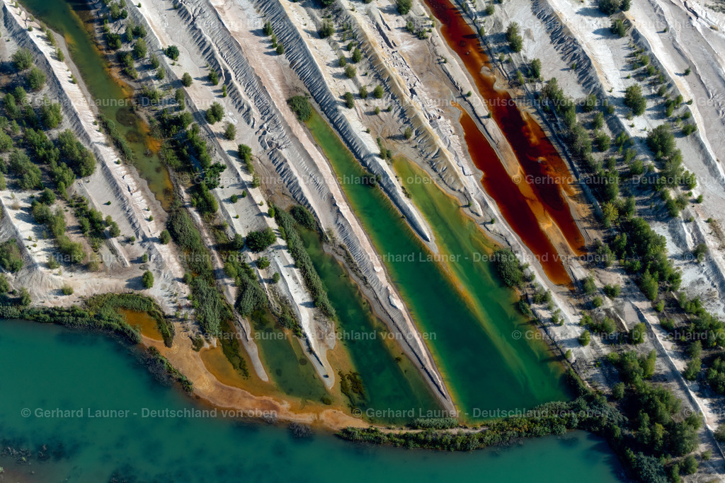4038990 | Insel im Störmthaler See, BRAUNSBEDRA 08.09.2021 Rekultivierung der ehemaligen Tagebau - Fläche an den Uferbereichen des Sees " Geiseltalsee " in Braunsbedra im Bundesland Sachsen-Anhalt, Deutschland. // Open pit re cultivation on the shores of the lake " Geiseltalsee " in Braunsbedra in the state Saxony-Anhalt, Germany. Foto: Gerhard Launer