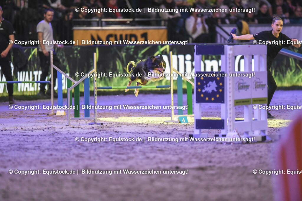 20231115_Dog-Agility_0107_TOMsPiC | Foto: Thomas Hartig