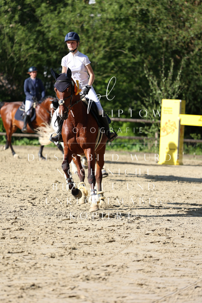 IMGS5850 | pl-fotografie