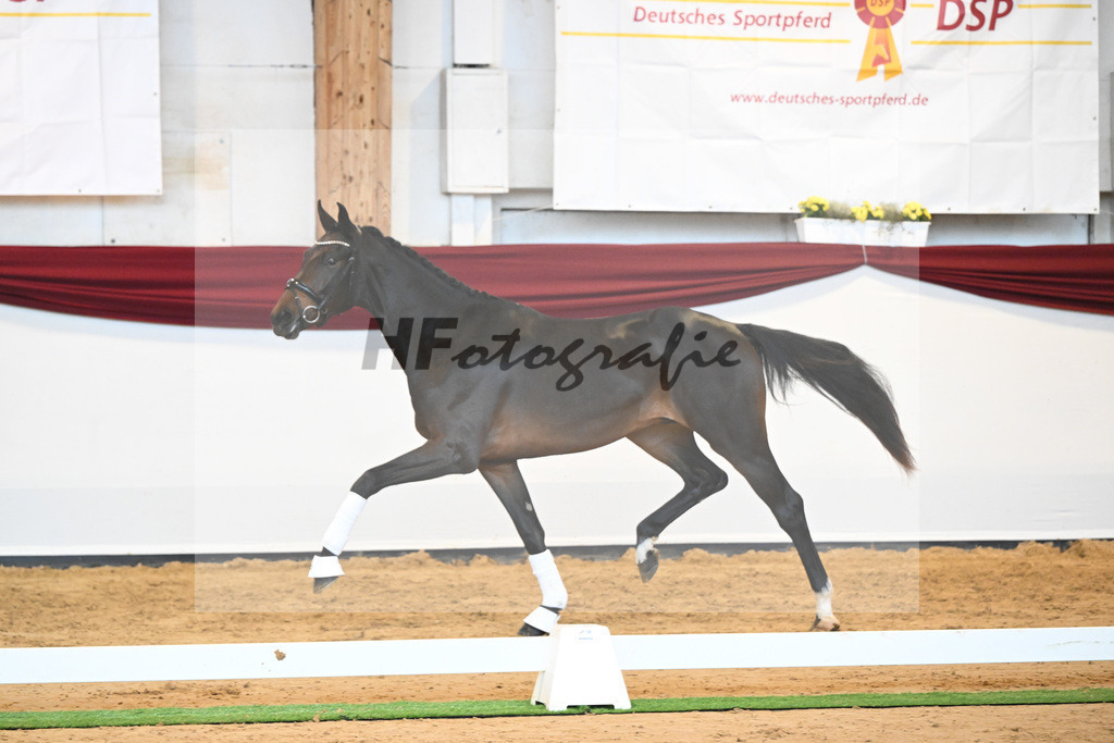 Kat-Nr. 76 v. Zackerey_Pfitzer_66221979 | hf-fotografie - Realisiert mit Pictrs.com