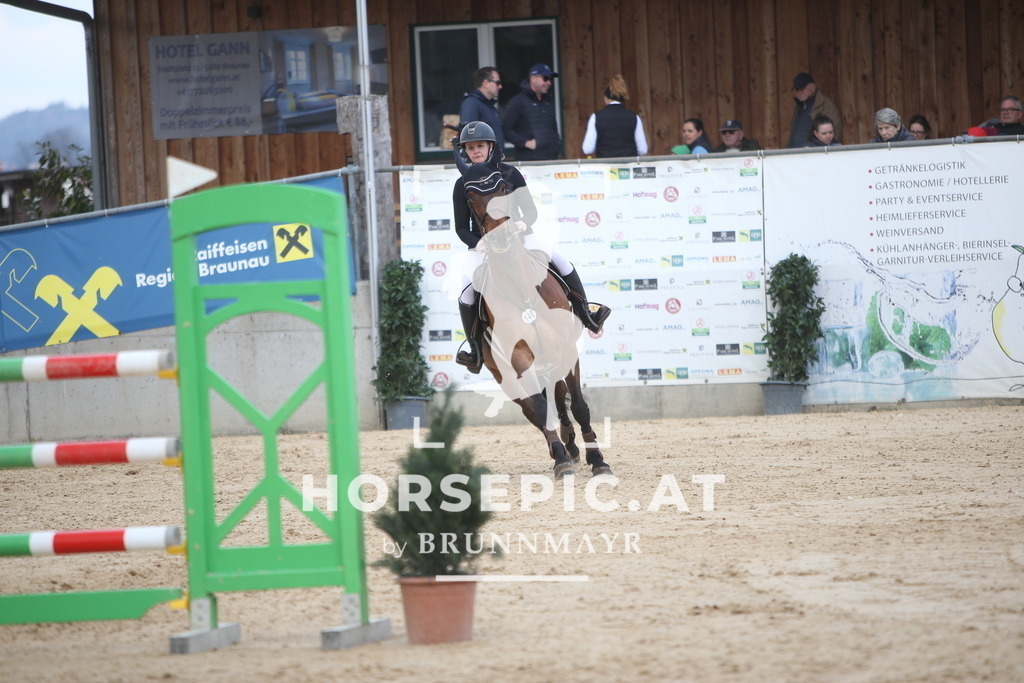 AS8V7490 | Willkommen bei Brunnmayr - Design & Fotografie – Ihrem Spezialisten für Reitturniere und Pferdeveranstaltungen in Oberösterreich, Salzburg und Bayern! Seit über 17 Jahren sind wir leidenschaftlich dabei.