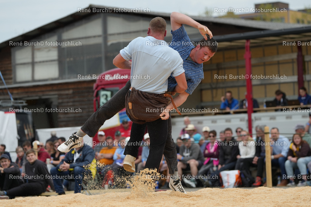 RB_06544-2 | René Burch leidenschaftlicher Fotograf aus Kerns in Obwalden.  Hier finden sie Sport, Landschaft und Natur Fotografie.
 - Realisiert mit Pictrs.com
