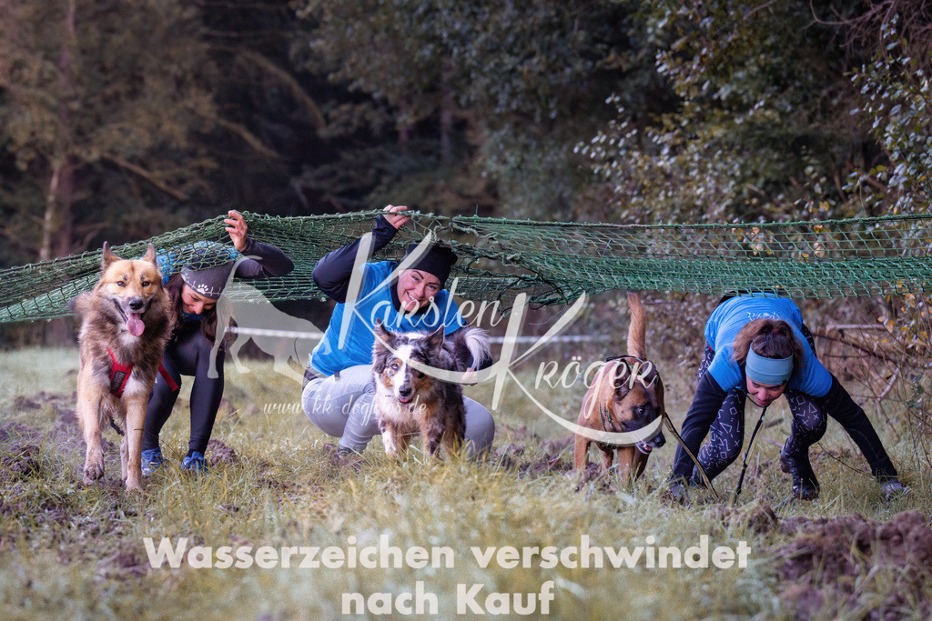 0823_ZZ90223 | kk-dogfotos