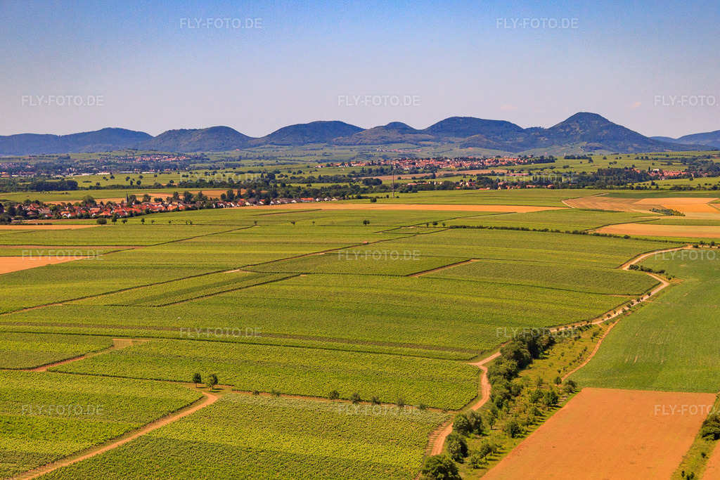 Luftbild: Riedgraben zwischen Rebbergen zum Rand des Pfälzer Wald in Essingen im Bundesland Rheinland-Pfalz in Deutschland. Foto: IMG_30171.jpg vom 05.07.2010 durch Werner Riehm/FLY-FOTO.de