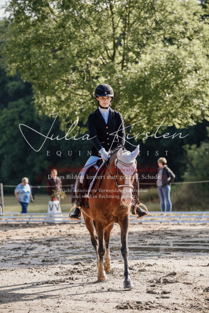 DSC_7796 | Pferde- und Turnierfotografie in Westsachsen. Pferdeportraits, Auftragszeichnungen und intuitive Kunst.