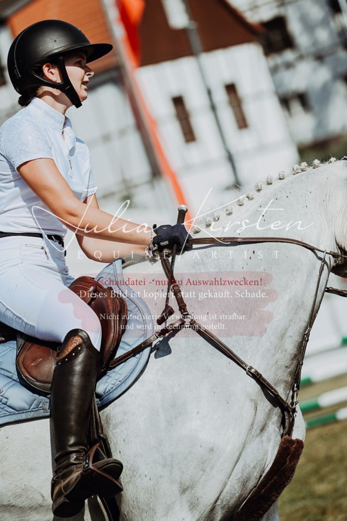 DSC_9581 | Pferde- und Turnierfotografie in Westsachsen. Pferdeportraits, Auftragszeichnungen und intuitive Kunst.