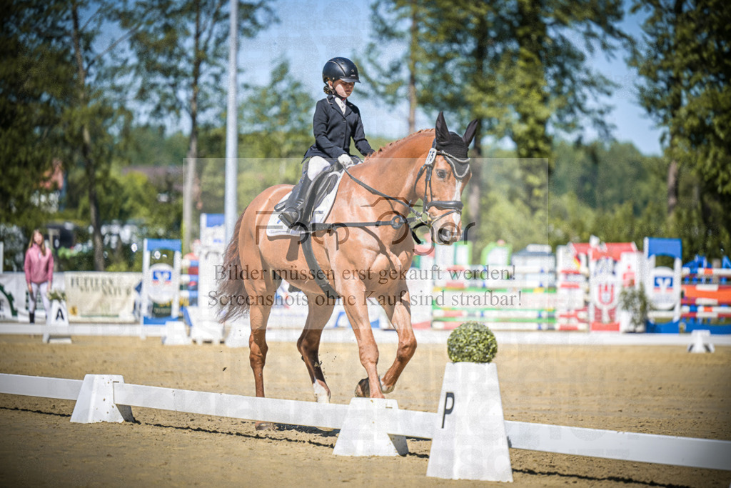 DOS_8476 | Entdecke hochwertige Reitturnierfotos von Foto Oger. Professionell, emotional und authentisch – jetzt Lieblingsmomente im Shop bestellen.Deutschlandweite Turnierfotografie. - Realisiert mit Pictrs.com