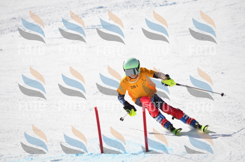 C8636 | holidayphoto