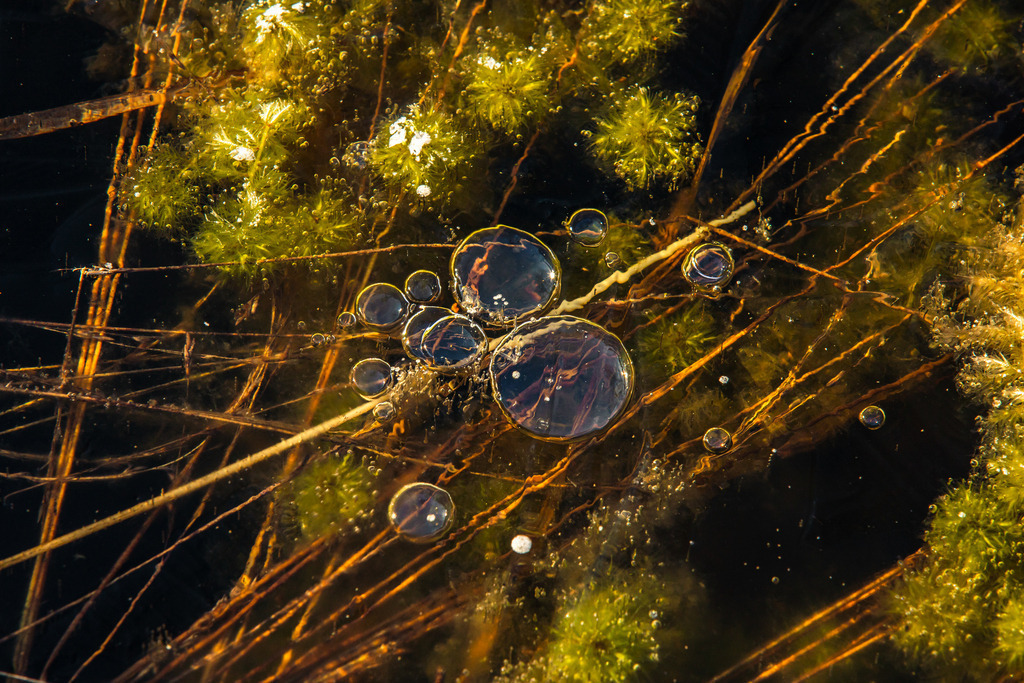 IU2A1471 | ap-design // andreas plenk - Realisiert mit Pictrs.com