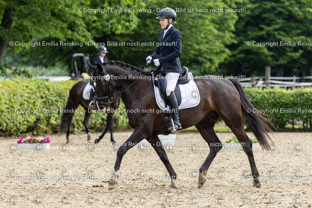 CL5A5221 | Emilia Reinking Fotografie - Realisiert mit Pictrs.com