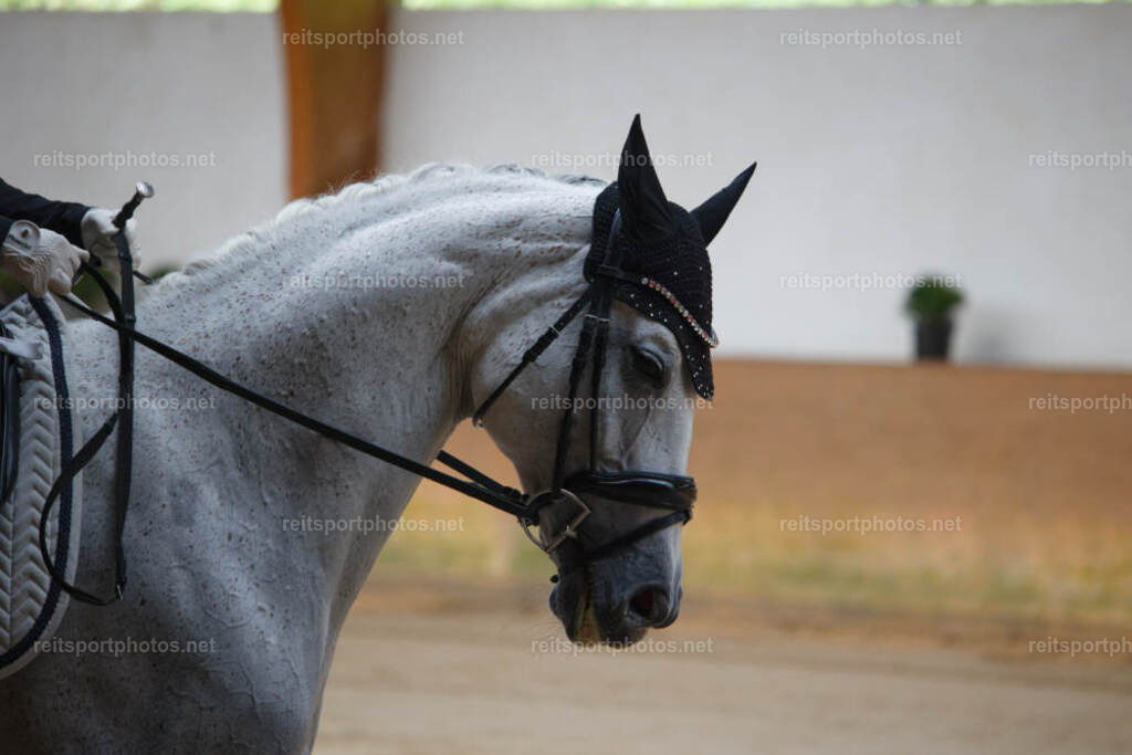 JHE_1050 | JoYa Fotografie - Realisiert mit Pictrs.com