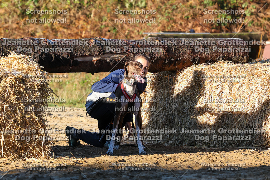 Dog Paparazzi - Strongdog 10-25-916 | Dog Paparazzi Jeanette Grottendiek Fotografie & Videografie - Realisiert mit Pictrs.com