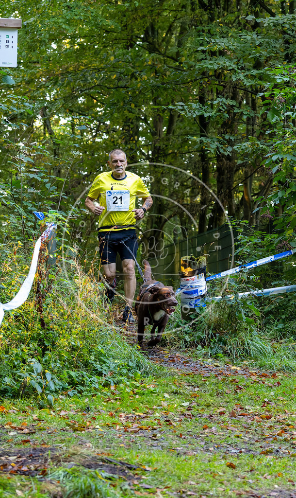 Pfotenfotografie_DV3A6458 | Hundefotografie, Tierfotograf, Pfotenfotografie, Fotoshooting Hund, Hunde Portrait, Hundesport, Hundeportraits, Heideshooting, Hunde, Sportfotograf, Hundefotograf, Turnierhundsport, THS,  - Realisiert mit Pictrs.com