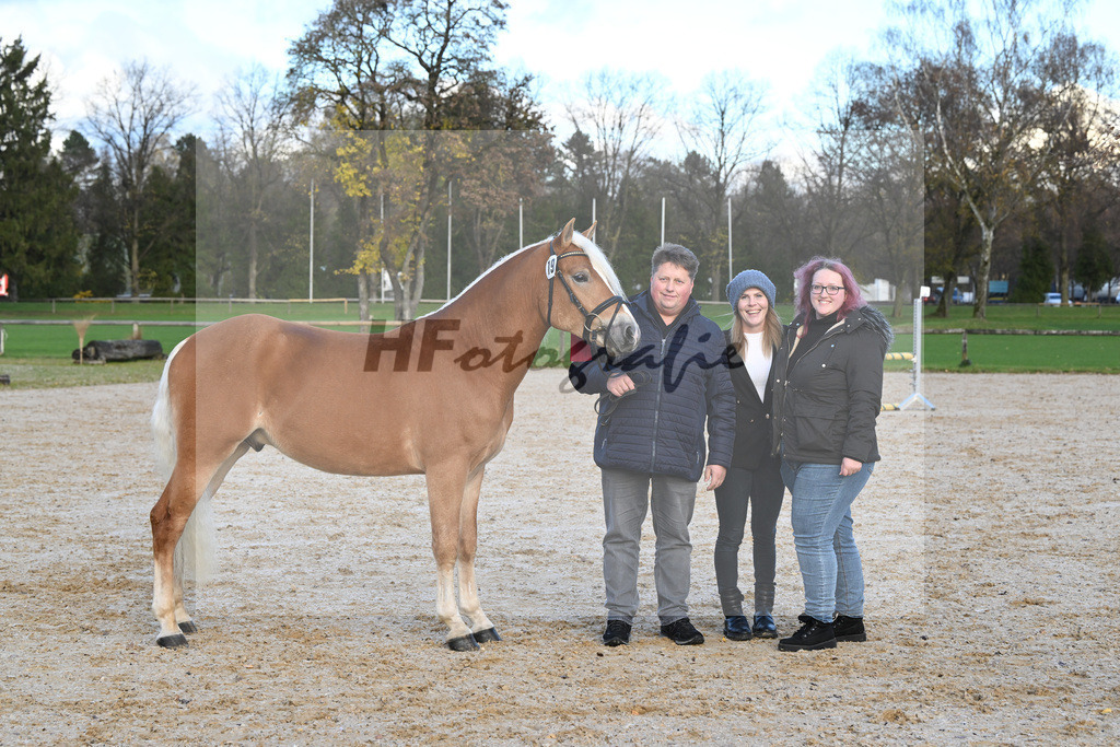 Kat-Nr. 19 Wintergold HK v. Winterball_Kiefer_60221762 | hf-fotografie - Realisiert mit Pictrs.com