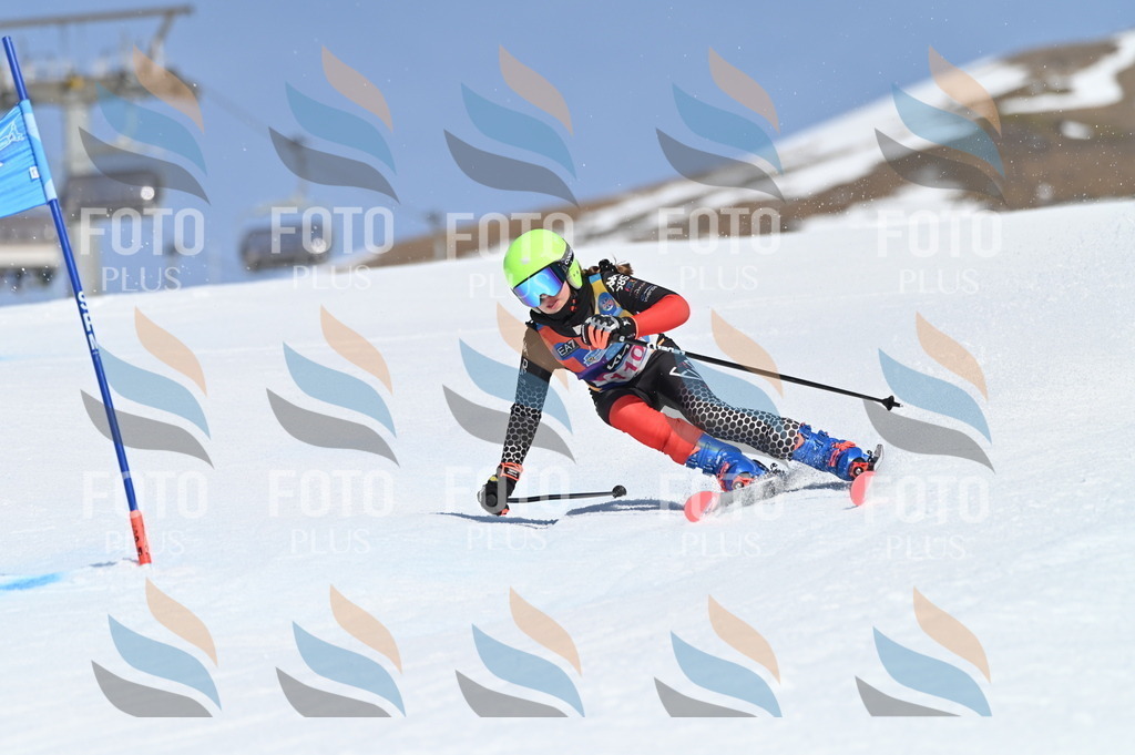 BGV_9643 | holidayphoto